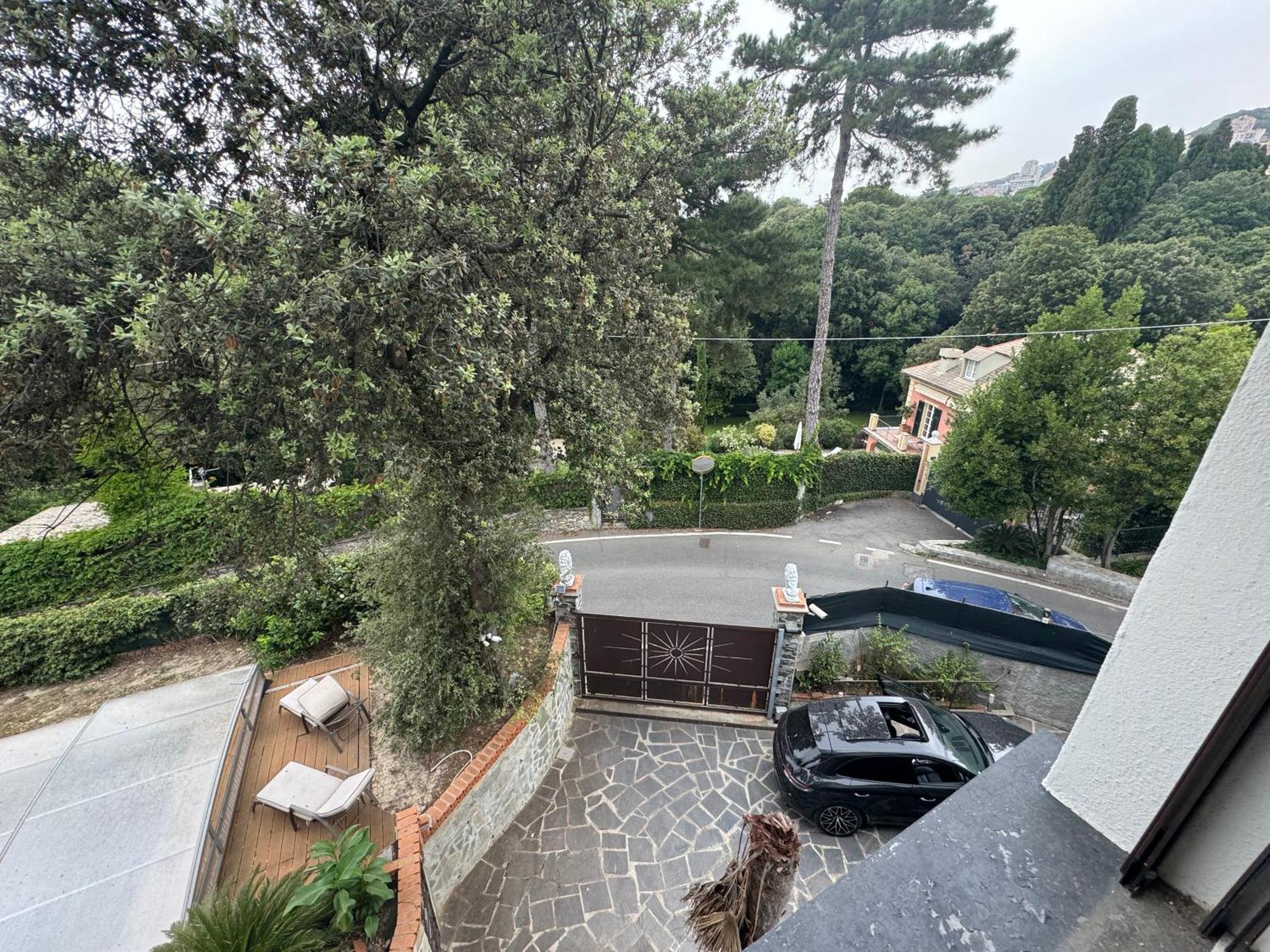 In Flore * Genoa